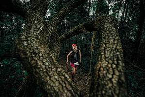 BIB: 
                            <button type="button" onclick="openModal(25687364)" class="btn btn-primary btn-sm float-right btn-popup" data-toggle="modal" data-target=".modal-high-quality">
                        <i class="fas fa-shopping-cart"></i> Add to Cart
                    </button>
                                            <button type="button" onclick="isThisMe(25687364, true)" class="btn btn-success btn-sm float-right btn-popup btn-isme hidden" data-toggle="tooltip" data-placement="bottom" title="นี่คือรูปของคุณใช่ไหม คลิกที่นี่เพื่อเอาเข้าอัลบั้ม">
                        <i class="fas fa-plus"></i> Add to album
                    </button>
                    <button type="button" onclick="isThisMe(25687364, false)" class="btn btn-warning btn-sm float-right btn-popup btn-isnotme hidden">
                        <i class="fas fa-ban"></i> Remove from album
                    </button>